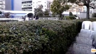 萌妹软软趴在床单上-伊人之美如梦似幻